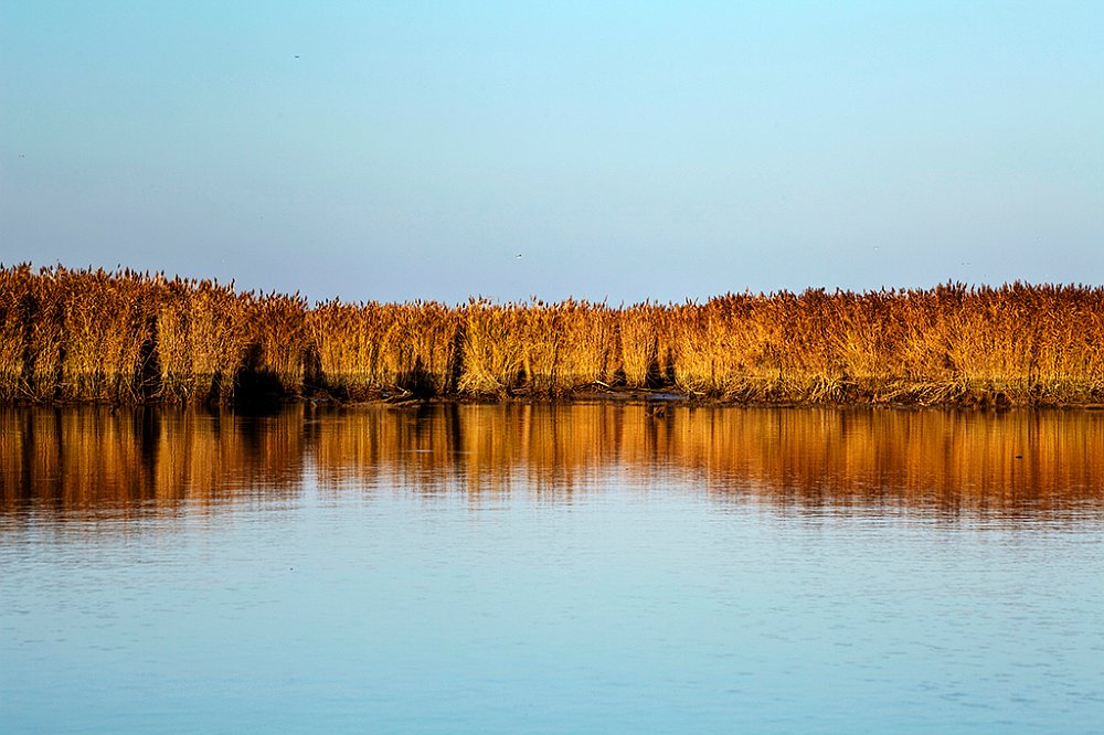 Delta del Po_05.jpg